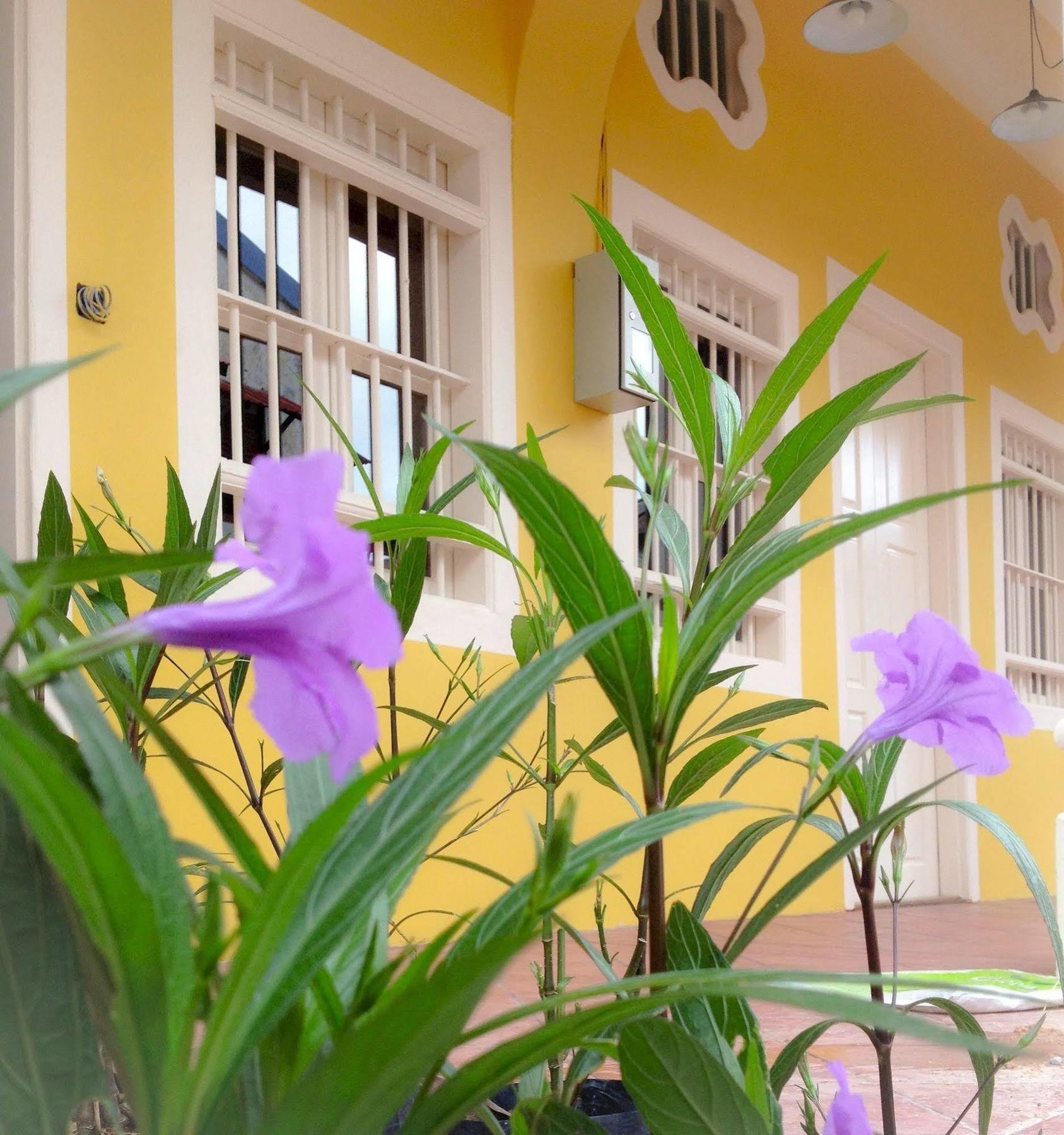 Sweet Cili Boutique Hotel George Town Exterior foto